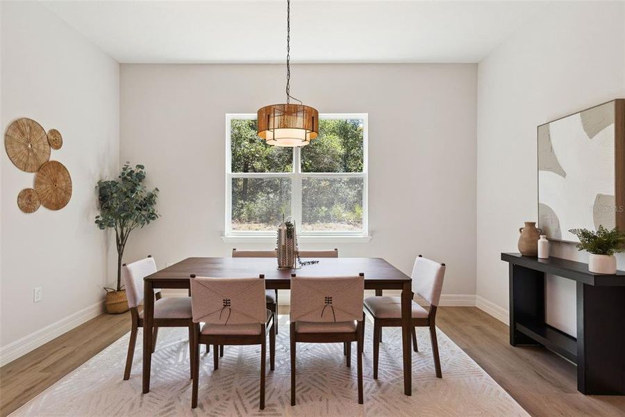 Furnished interior view inside a new home in , Eustis (Image 31). Furnished interior view inside a new home in , Eustis (Image 31).