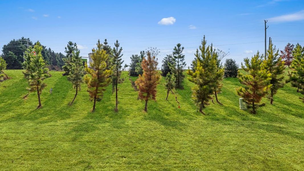 Natural landscape and outdoor views near Brookside Ridge Townhomes in Greer (Image 30). Natural landscape and outdoor views near Brookside Ridge Townhomes in Greer (Image 30).