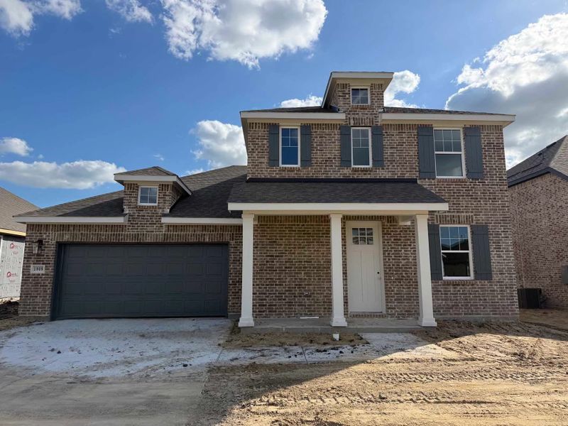 Exterior Design Construction Progress