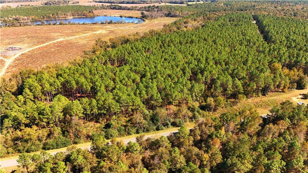 Natural landscape and outdoor views near  in Chester (Image 34).