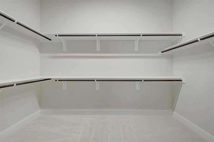 Spacious walk-in closet featuring white shelving with integrated hanging rods, extensive storage capacity, light-colored carpeting, and crisp white walls