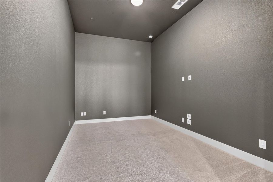 Entertainment Room
