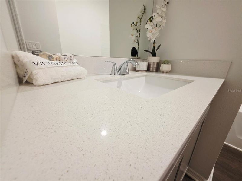 Close-up of interior finishes inside a home in Broadleaf, Parrish (Image 22).