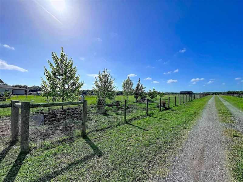 Natural landscape and outdoor views near  in Plant City (Image 35).