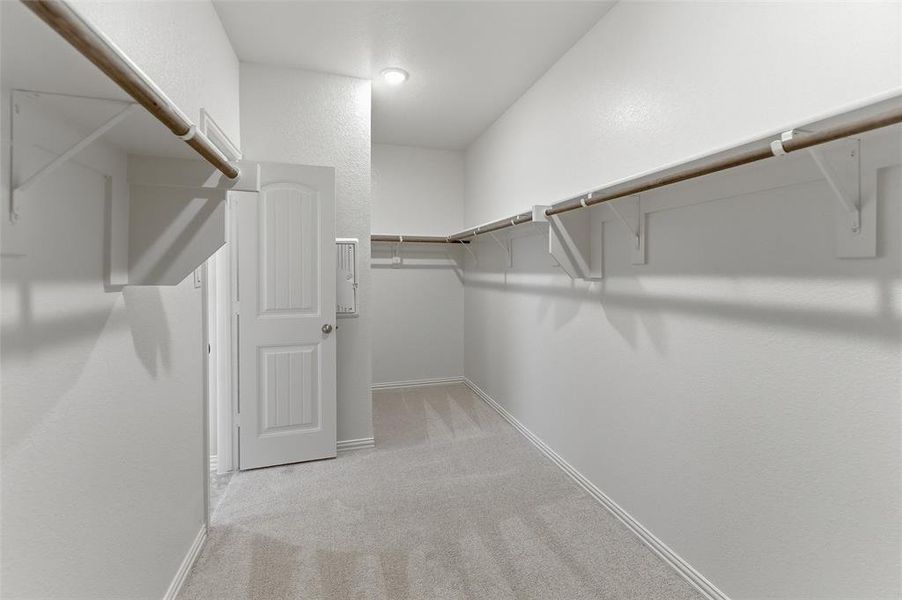 Spacious walk-in closet featuring light gray carpeting, crisp white walls, extensive shelving, and multiple hanging rods for organization Spacious walk-in closet featuring light gray carpeting, crisp white walls, extensive shelving, and multiple hanging rods for organization