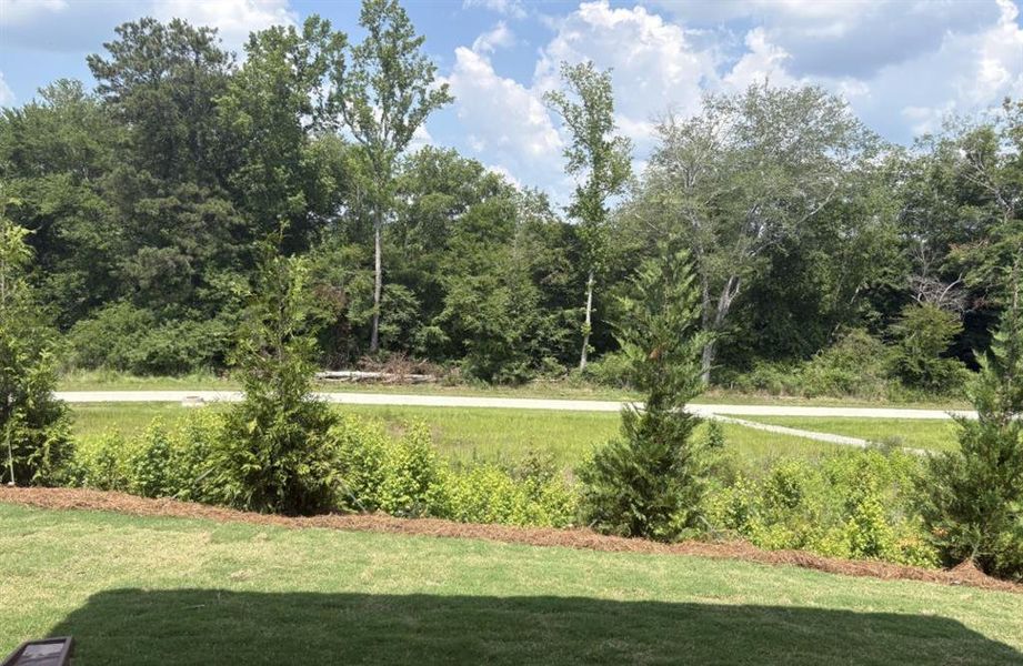 Natural landscape and outdoor views near Apalachee Hills in Bethlehem (Image 5). Natural landscape and outdoor views near Apalachee Hills in Bethlehem (Image 5).