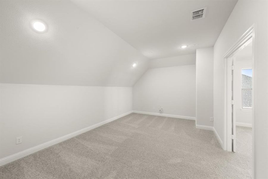 116 Grey wolf- Media Room-2534 116 Grey wolf- Media Room-2534