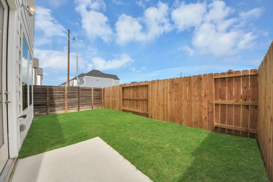 backyard backyard