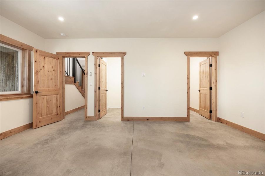 Basement primary bedroom with walk-in closet and en-suite bathroom