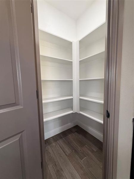 Walk-in pantry featuring extensive white shelving, wood-finish flooring, and white baseboards Walk-in pantry featuring extensive white shelving, wood-finish flooring, and white baseboards