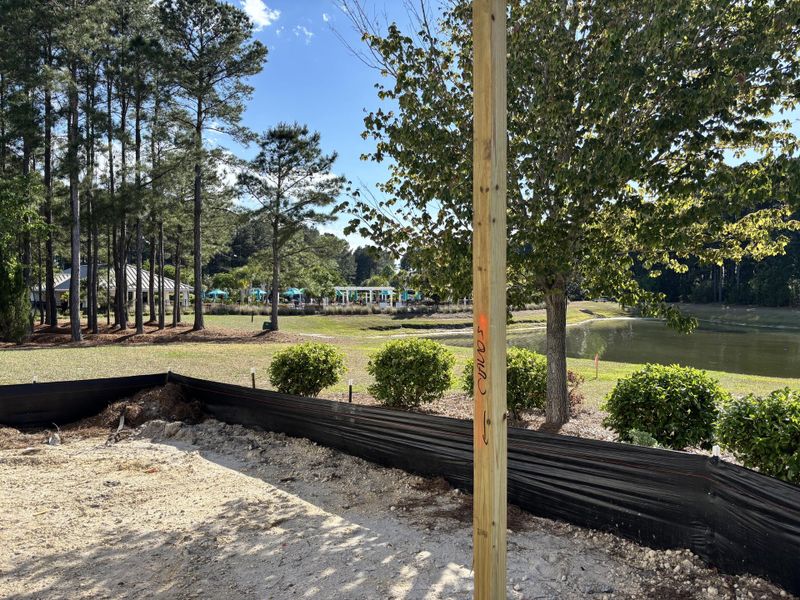 Natural landscape and outdoor views near  in Summerville (Image 10).