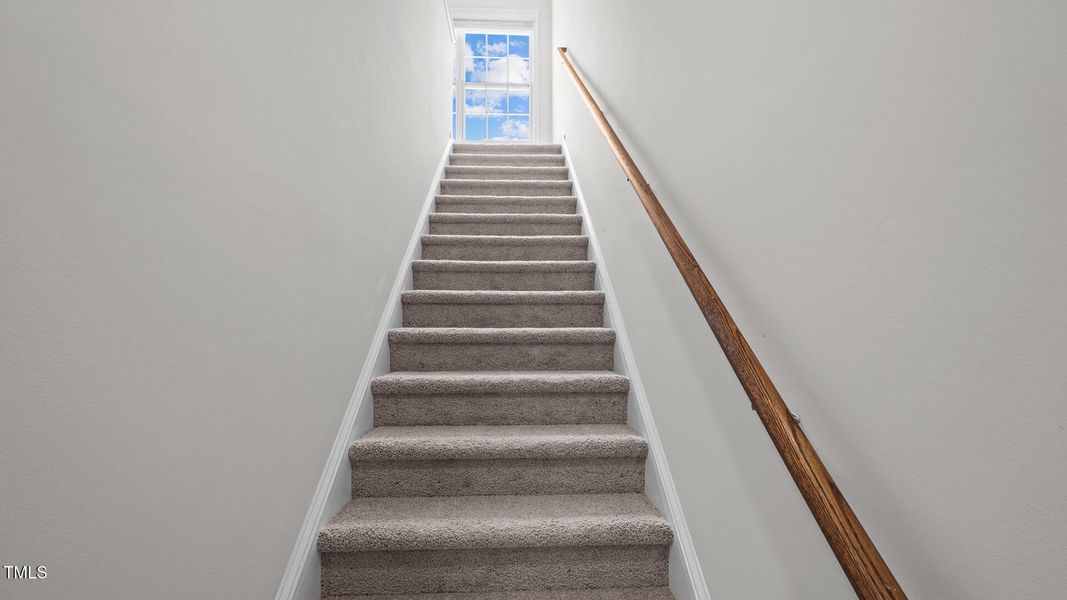 25-web-or-mls-470A7375