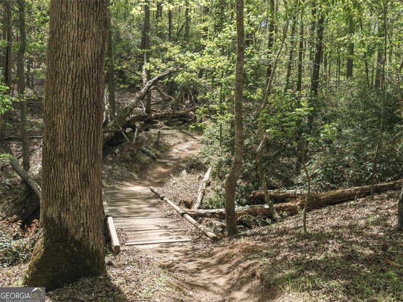 Natural landscape and outdoor views near The Grove At Mundy Mill in Gainesville (Image 23).