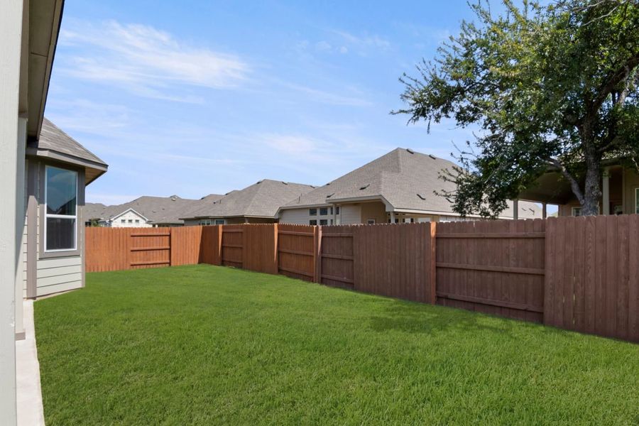 Backyard with green grass, brown fence, and blue sky.