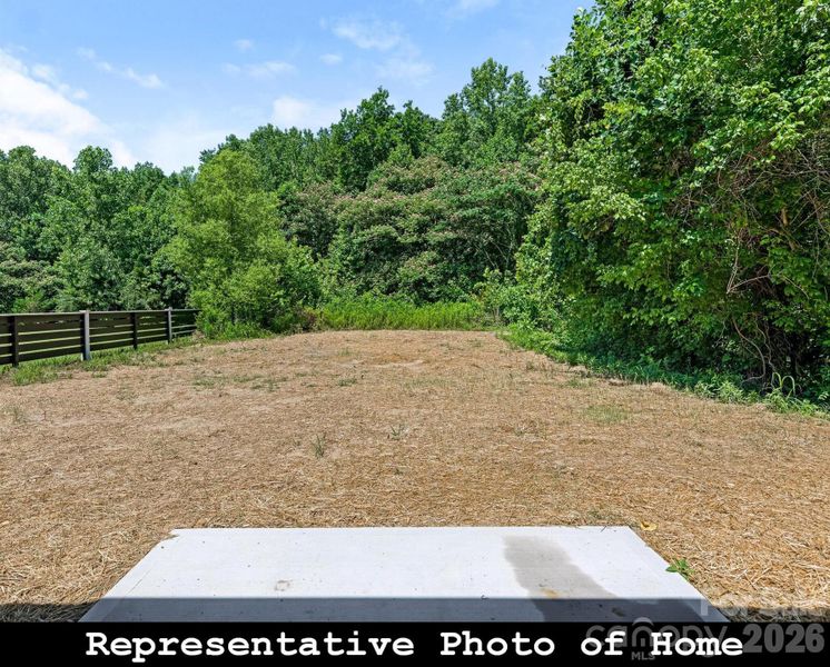 Natural landscape and outdoor views near  in Charlotte (Image 20).