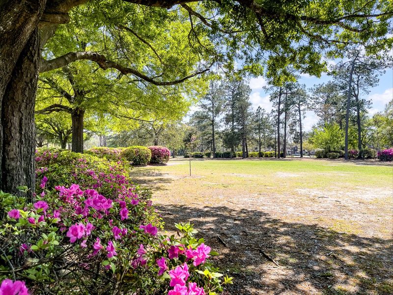 Natural landscape and outdoor views near  in North Charleston (Image 40).