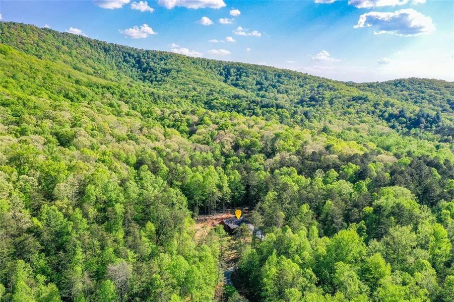 Natural landscape and outdoor views near  in Ellijay (Image 47).