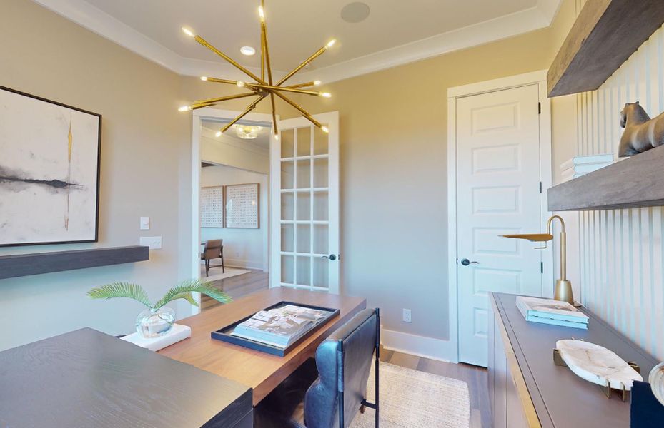 Vanderbilt Study Vanderbilt Study