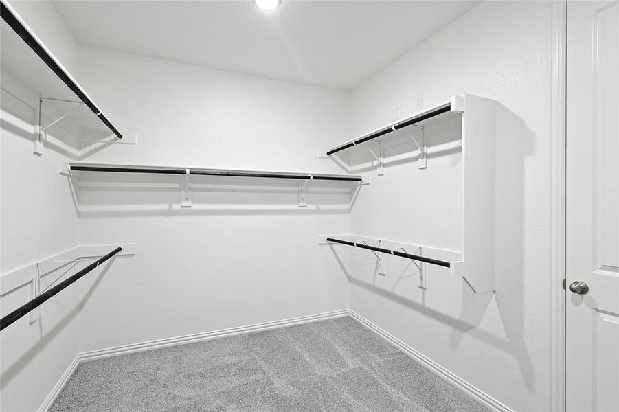 Walk in closet with light carpet