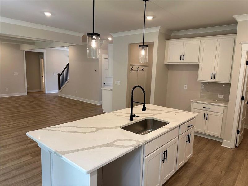 Furnished interior view inside a new home in Rosewood Lake Estates, Hoschton (Image 4).