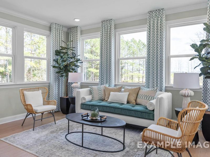 Furnished interior view inside a new home in Tobacco Road, Angier (Image 7). Furnished interior view inside a new home in Tobacco Road, Angier (Image 7).