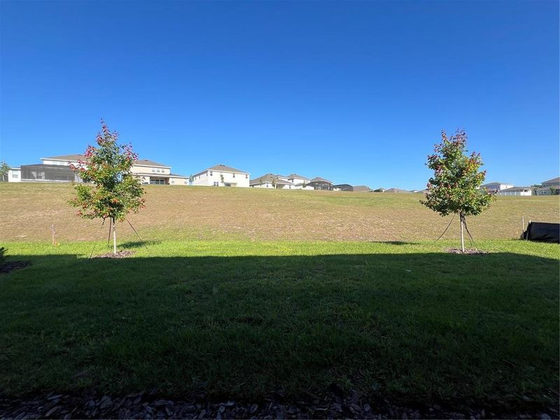 Natural landscape and outdoor views near Hills of Minneola in Minneola (Image 21). Natural landscape and outdoor views near Hills of Minneola in Minneola (Image 21).