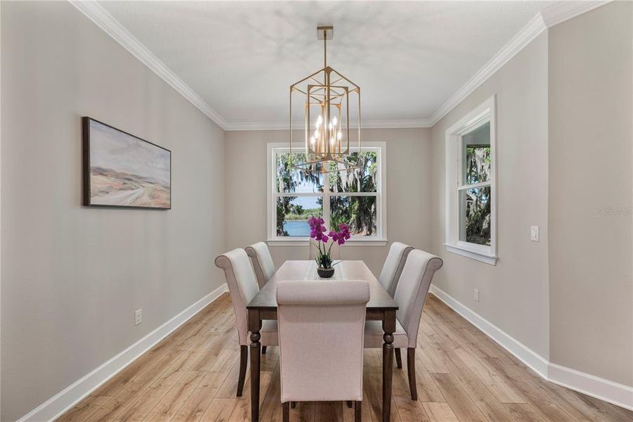 Furnished interior view inside a new home in , Mulberry (Image 16).