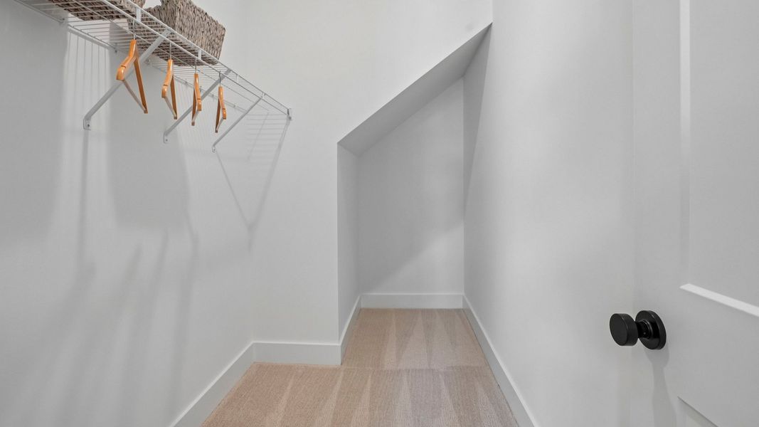 Large closet with carpet and ventilated shelf Large closet with carpet and ventilated shelf