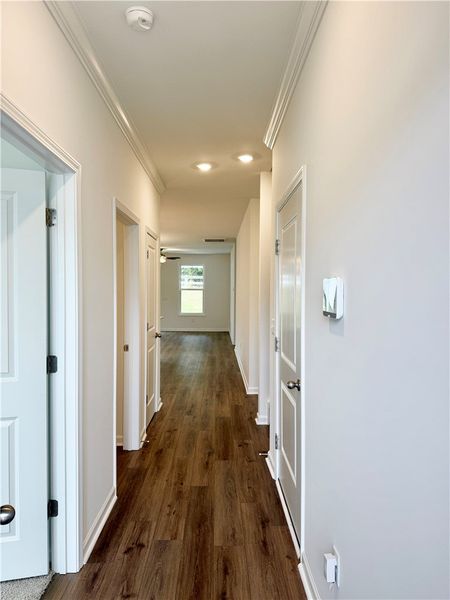 Gleaming wood-look floors and elegant crown moldin