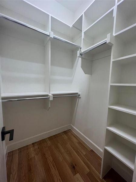 Walk in closet featuring dark hardwood / wood-style flooring