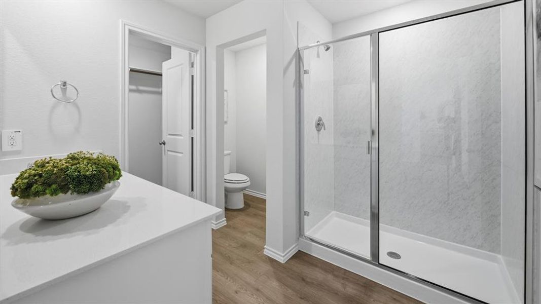 Bathroom featuring a spacious walk-in shower with clear glass enclosure, a vanity with a white countertop, and wood-look flooring