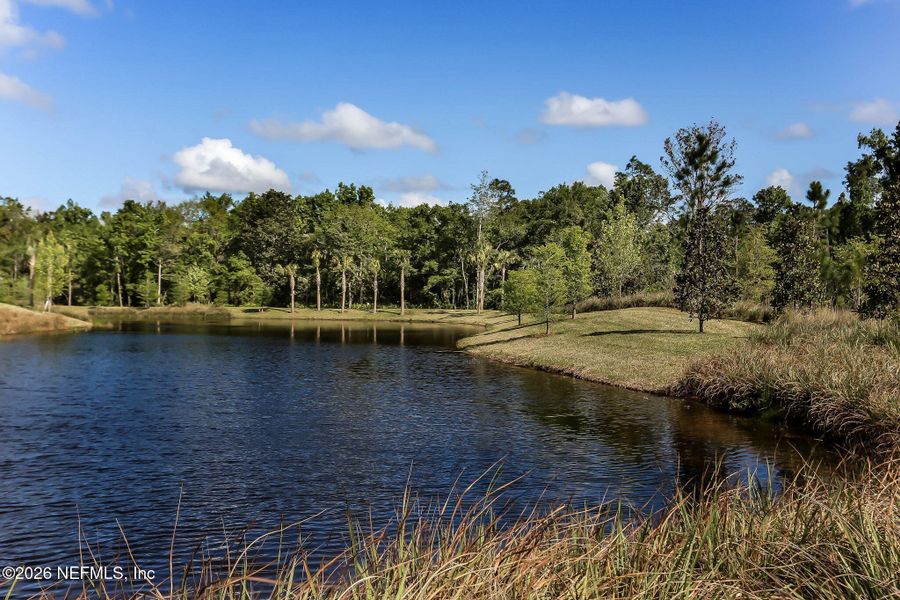 Natural landscape and outdoor views near RiverTown in St. Johns (Image 78).