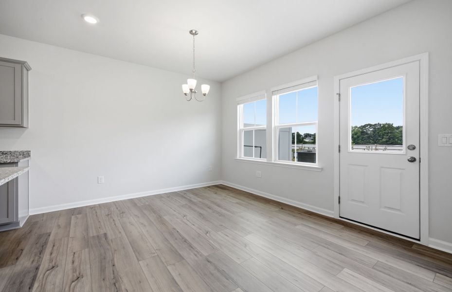 Spacious, unfurnished interior of a new home in Saunders Farm, Willow Spring (Image 22).