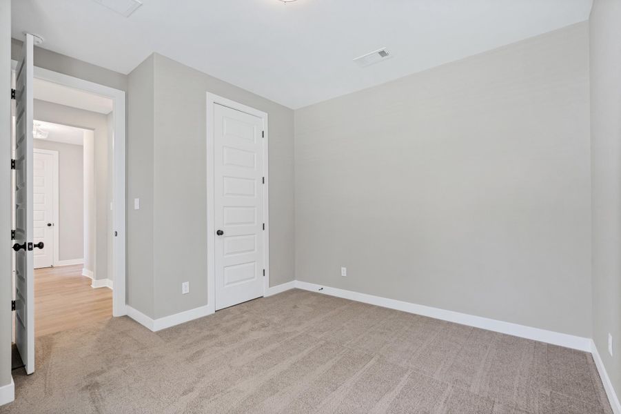 Carpeted room with light gray walls and white trim Carpeted room with light gray walls and white trim