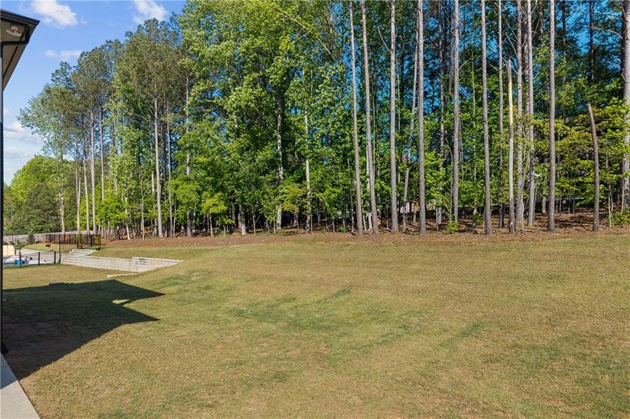Natural landscape and outdoor views near  in Sugar Hill (Image 65).