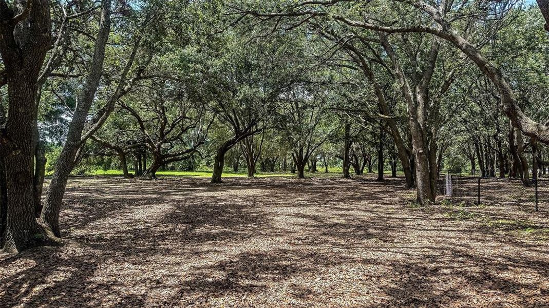 Natural landscape and outdoor views near Waterstone in Groveland (Image 25).