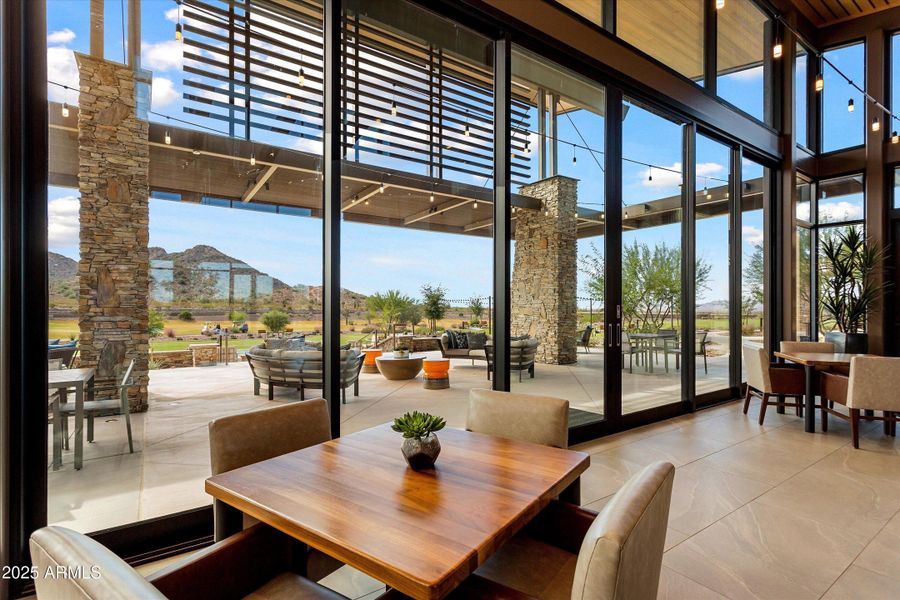 39-Saguaro-Sun City Festival 39-Saguaro-Sun City Festival