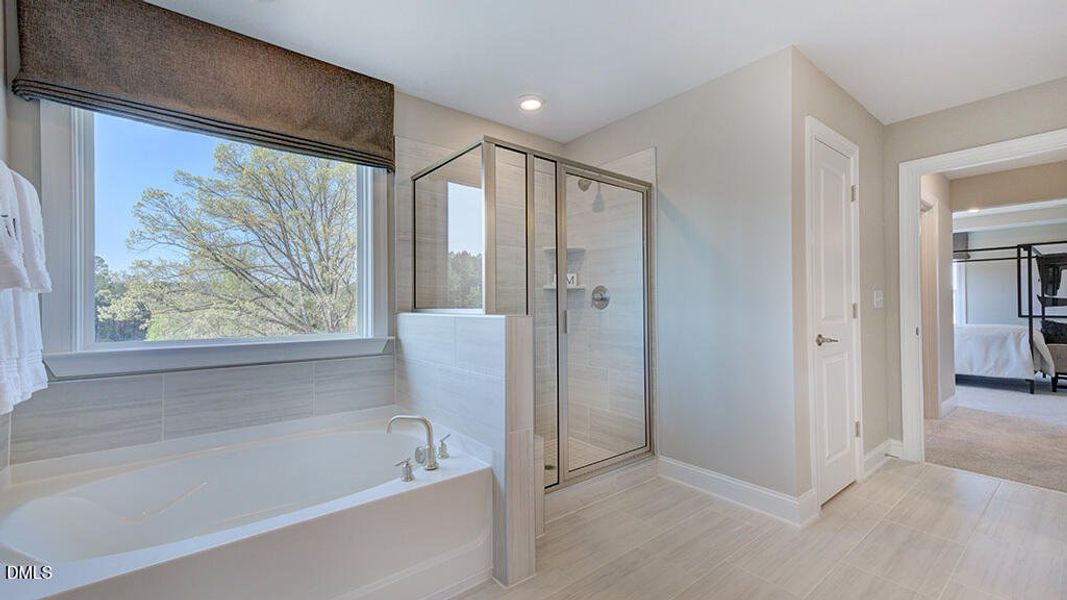 Wayland_23 Wayland_23