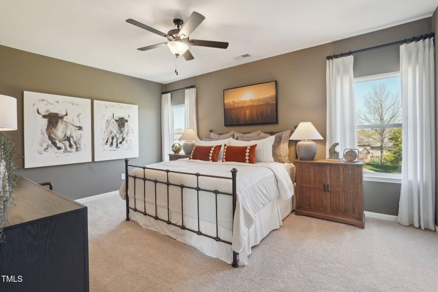 Representational Photo