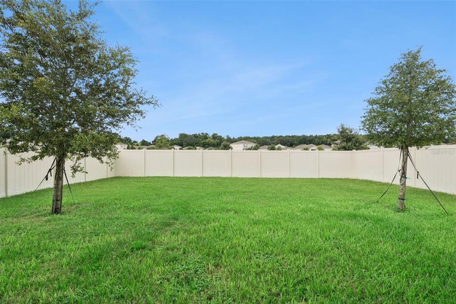 Exterior details and patio area of a home in Windrose, Apopka (Image 22).