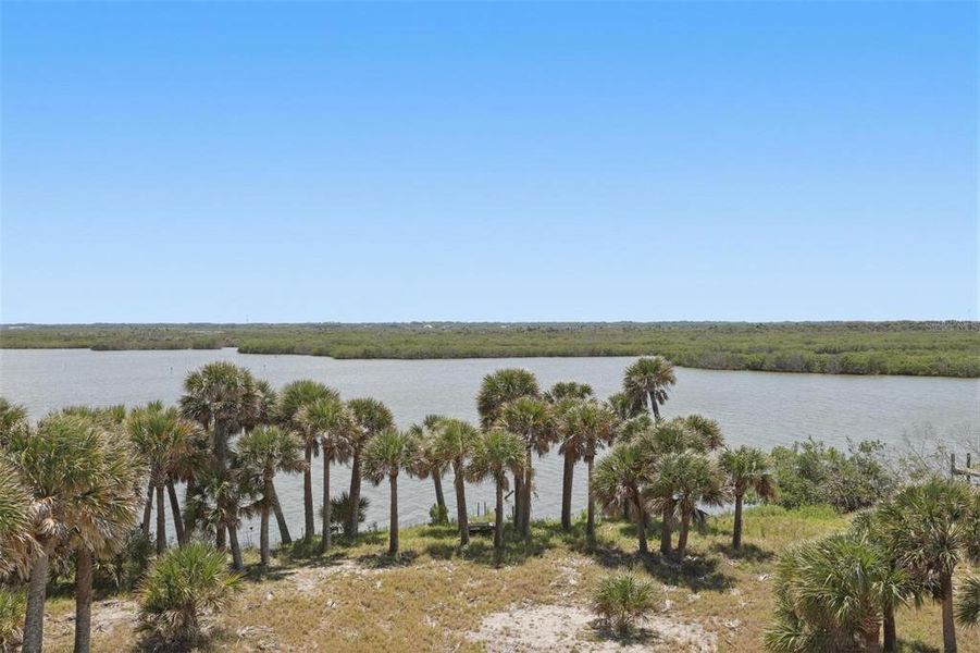 Natural landscape and outdoor views near  in New Smyrna Beach (Image 46).