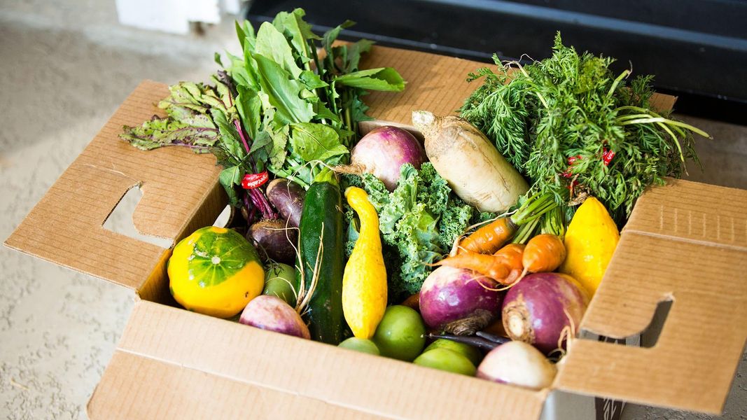 Image 6 of a home in Harvest Green 45'.