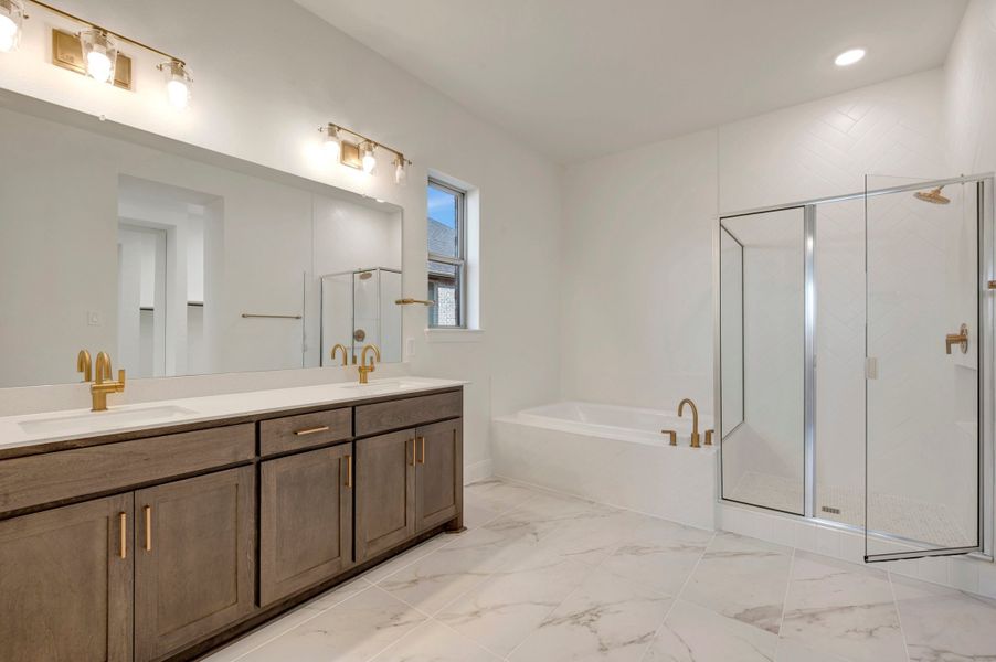 Owner's Bath