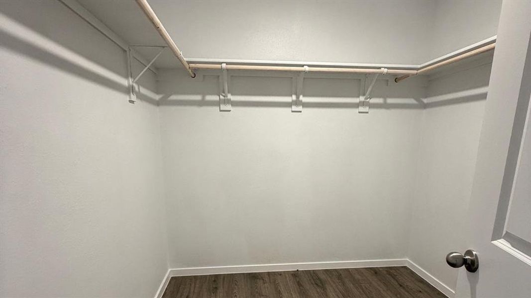 Walk in closet with dark wood-type flooring