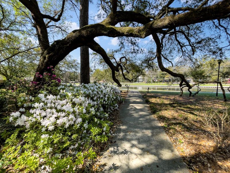 Natural landscape and outdoor views near  in North Charleston (Image 39).
