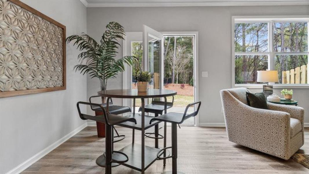 Furnished interior view inside a new home in Hughes Court, Dawsonville (Image 3). Furnished interior view inside a new home in Hughes Court, Dawsonville (Image 3).