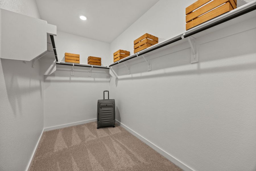 A room with shelves and a suitcase. A room with shelves and a suitcase.