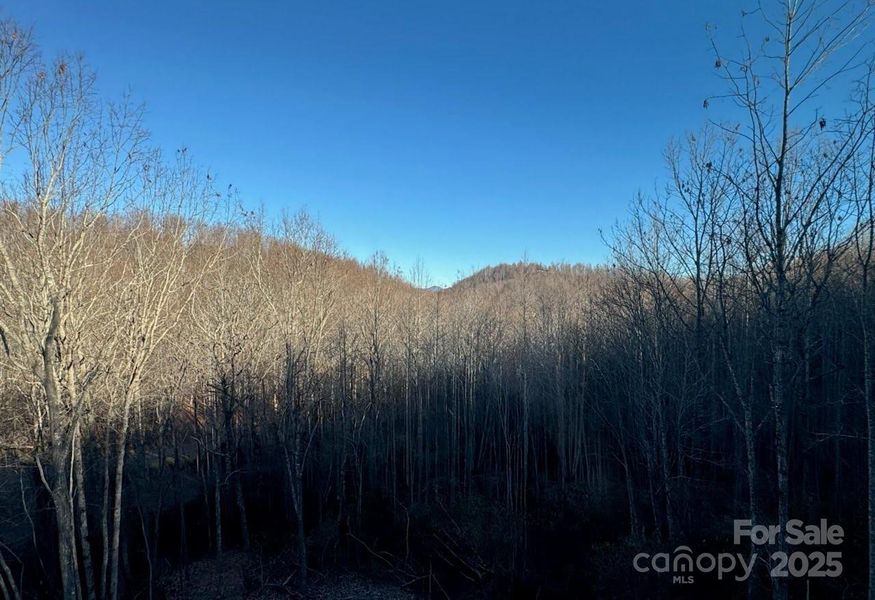 Natural landscape and outdoor views near  in Black Mountain (Image 32).
