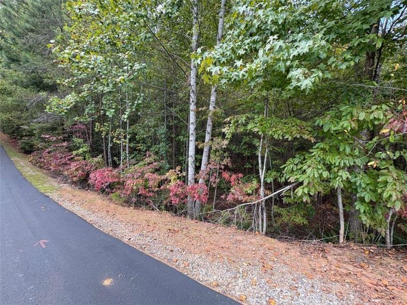 Natural landscape and outdoor views near  in Dahlonega (Image 4).