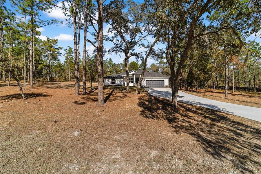 Natural landscape and outdoor views near  in Dunnellon (Image 36).